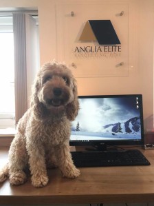 Delphie at Anglia Elite