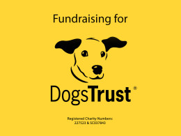 Fundraising for Dogs Trust